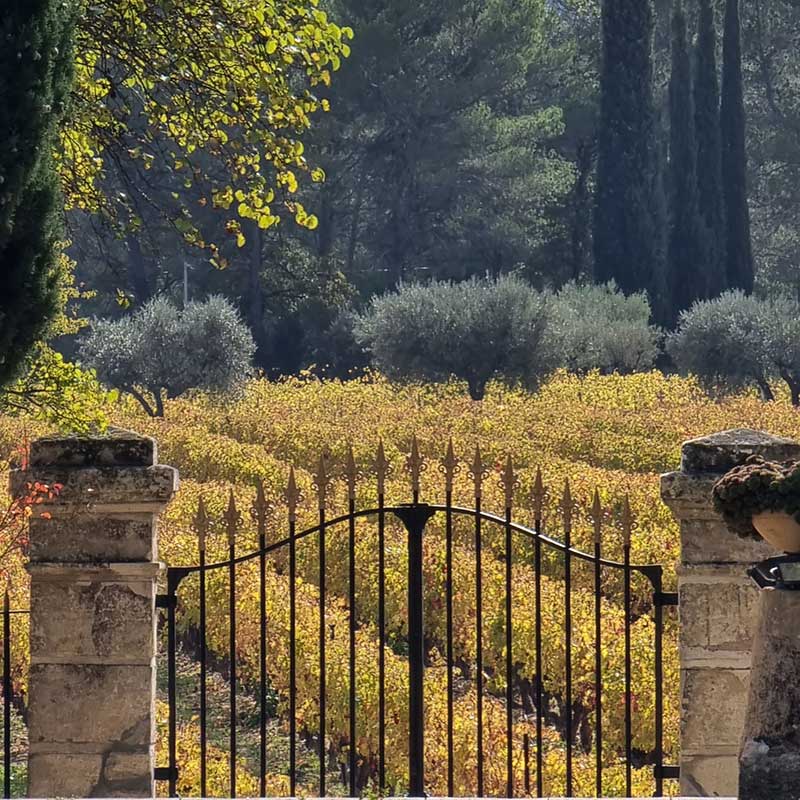 PORTAIL VERS LES VIGNES